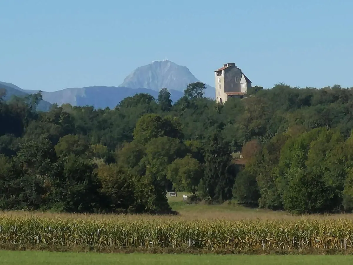 Chateau Montegut Rustique