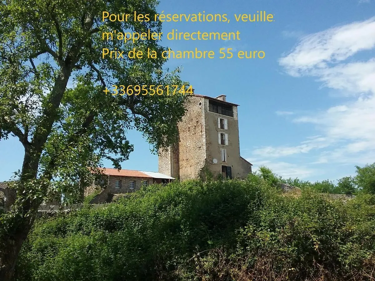 Chateau Montegut
