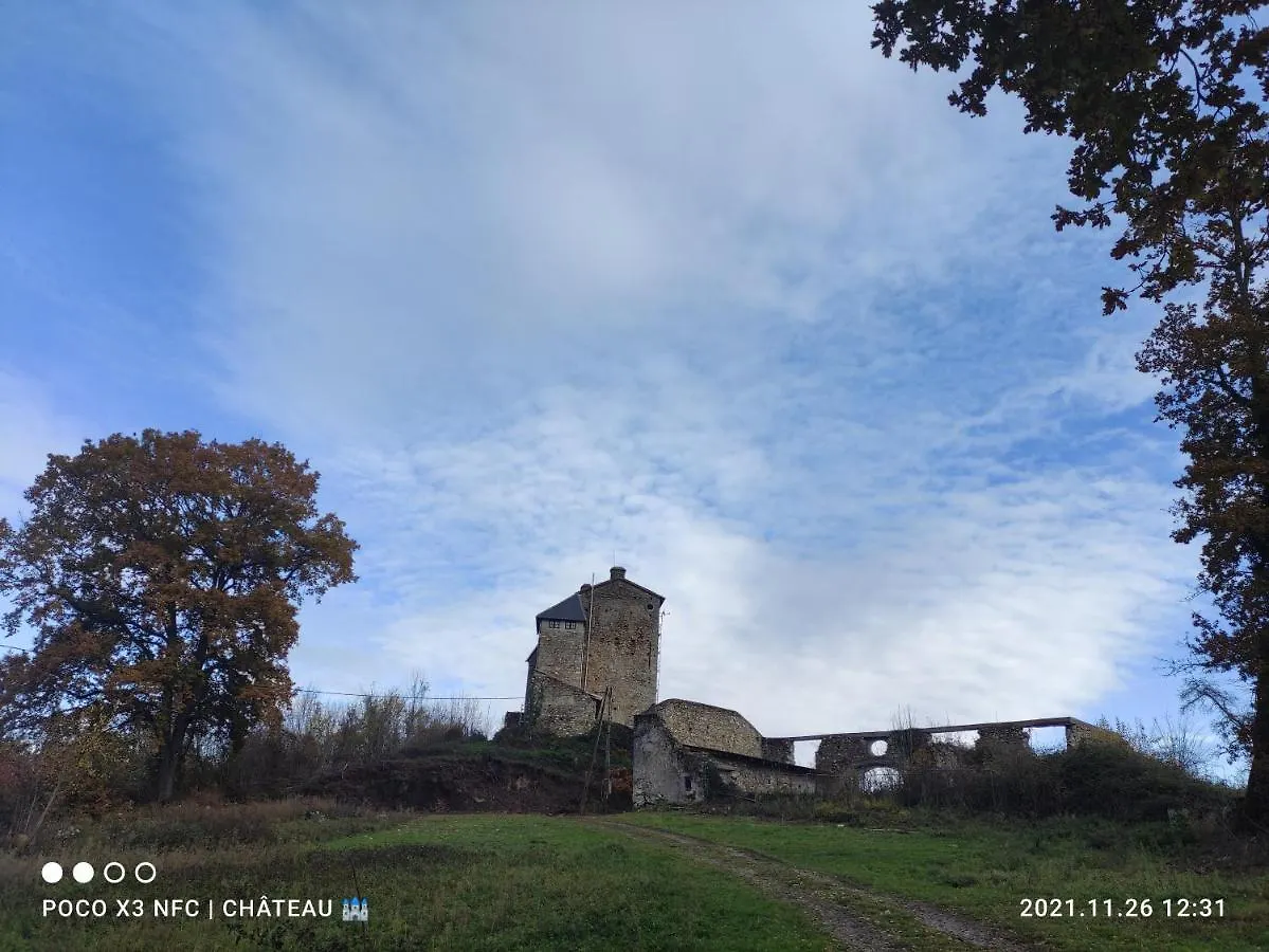 Chateau Montegut Rustique Bed & Breakfast Montegut (Hautes-Pyrenees)